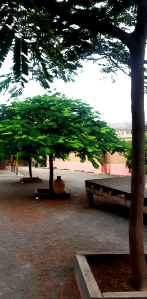 Residencia canina Tarazona - Canary Islands pet otel görseli 3