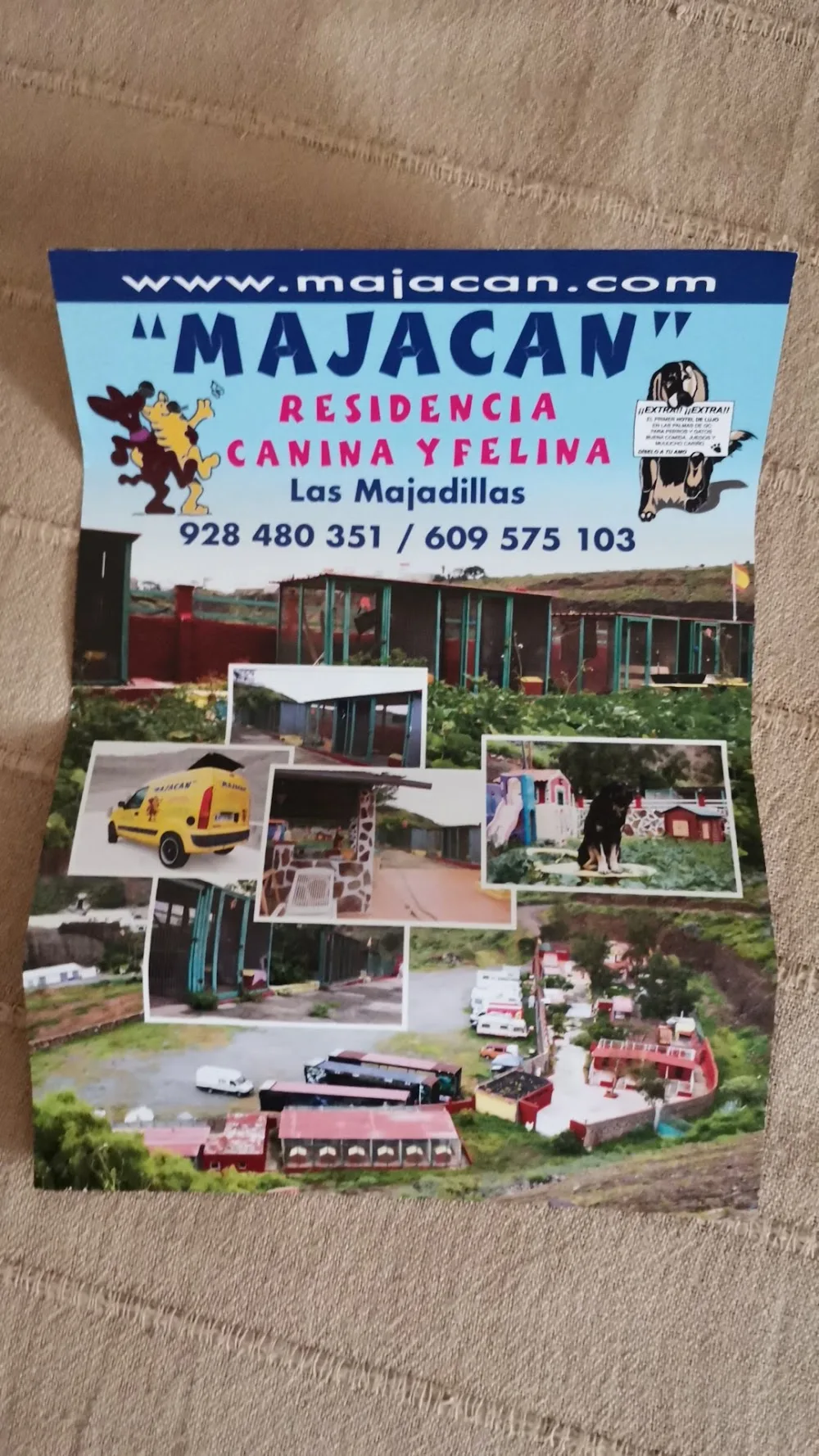 Residencia Canina y Felina Majacan - Canary Islands pet otel görseli 3