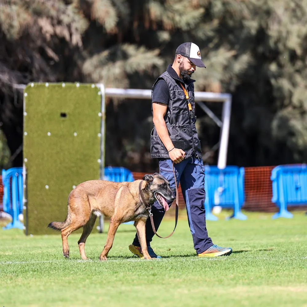 Tu centro canino Damián Machado - Canary Islands pet otel görseli 5