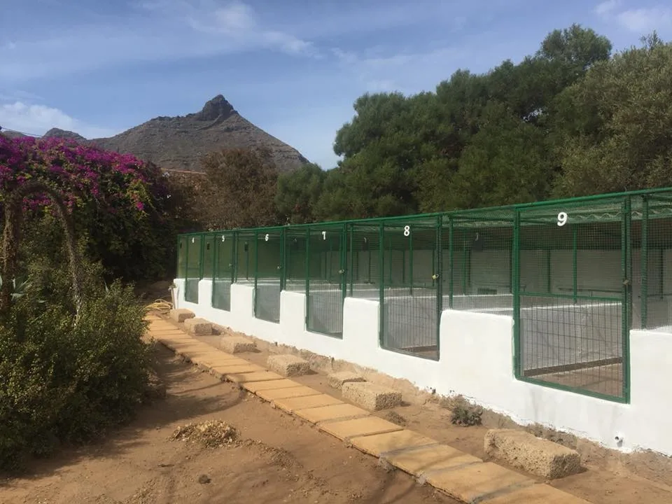 VIP Kennels Tenerife - Canary Islands pet otel görseli 2