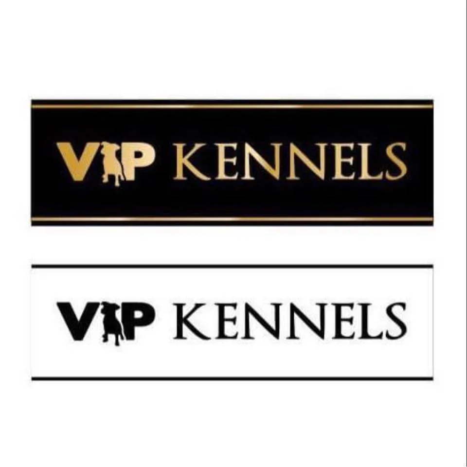 VIP Kennels Tenerife - Canary Islands pet otel görseli 3
