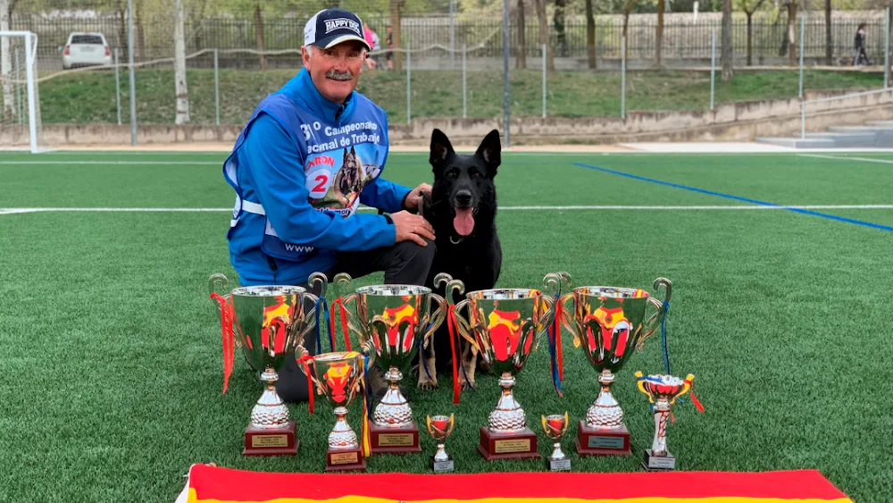 Centro Canino Parayas (Cecapa) - Cantabria pet otel