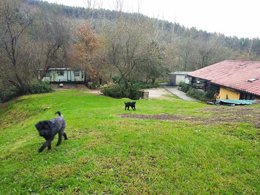 Hotel Canino Tatinejos - Cantabria pet otel görseli 3
