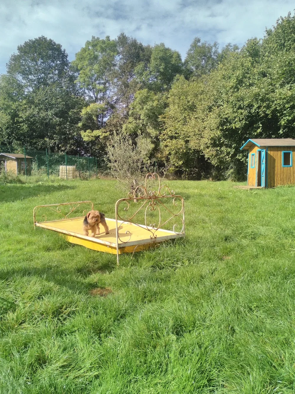 Domaine du Vent Sacré - Cantal pet otel görseli 6