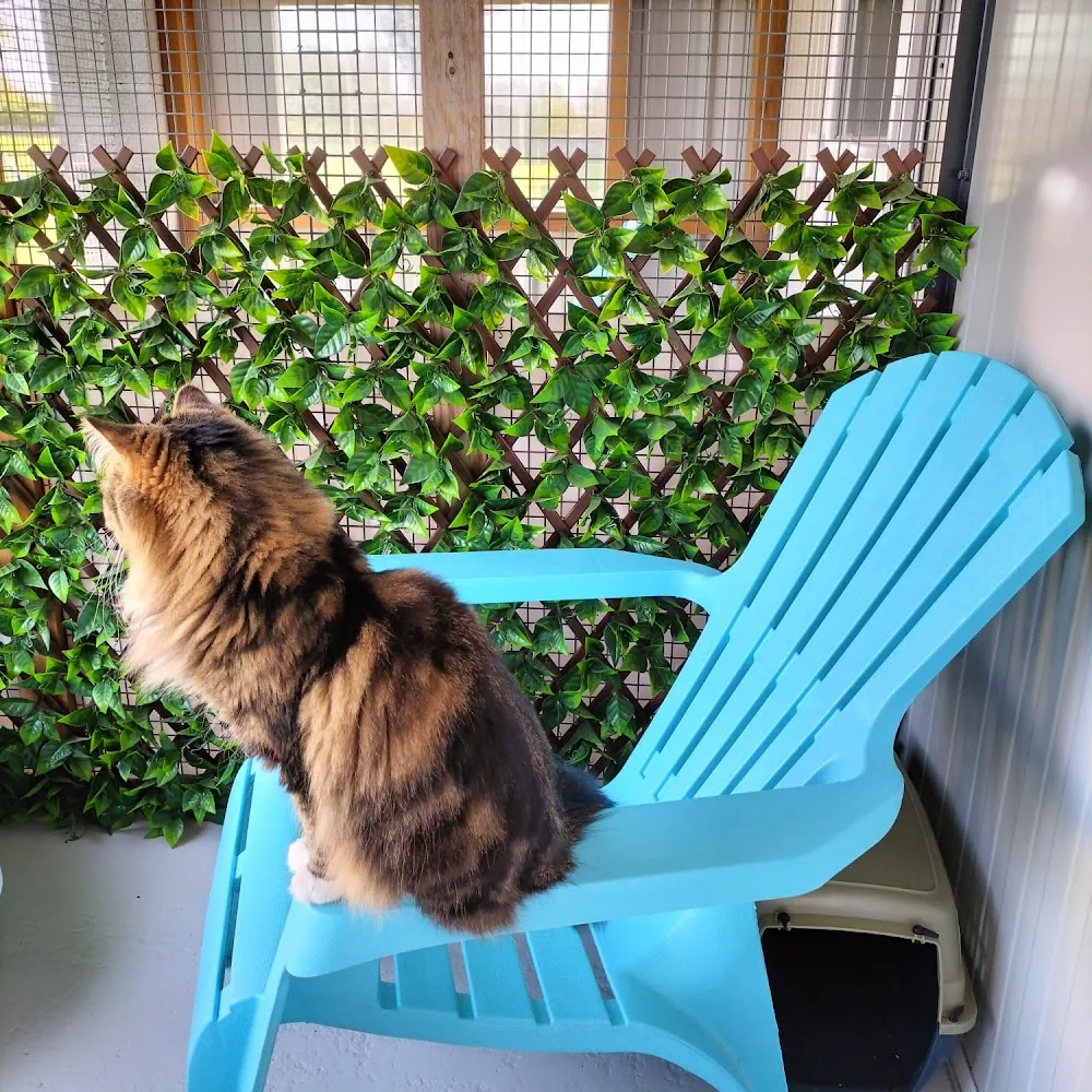 Les Gali'Pets - Cantal pet otel
