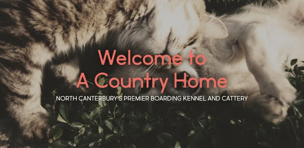 A Country Home - Canterbury pet otel