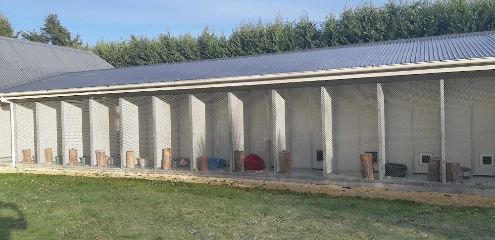 Ali Cats Cattery - Canterbury pet otel