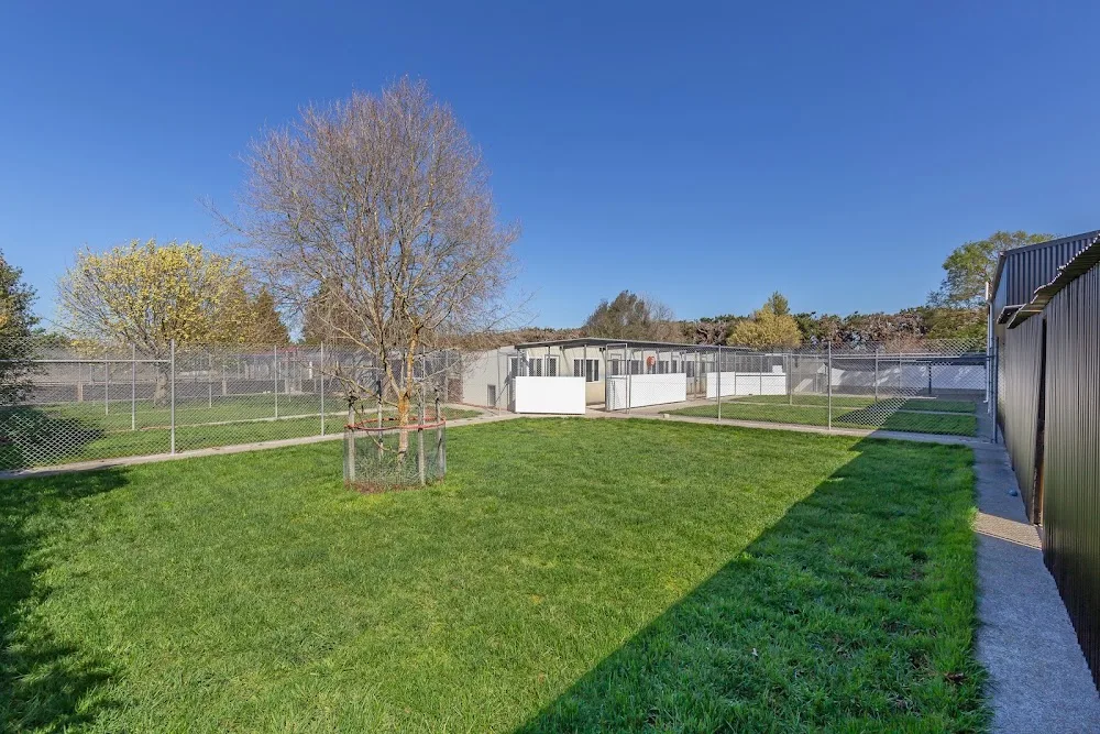 Bark Royal Boarding Kennels - Canterbury pet otel görseli 3