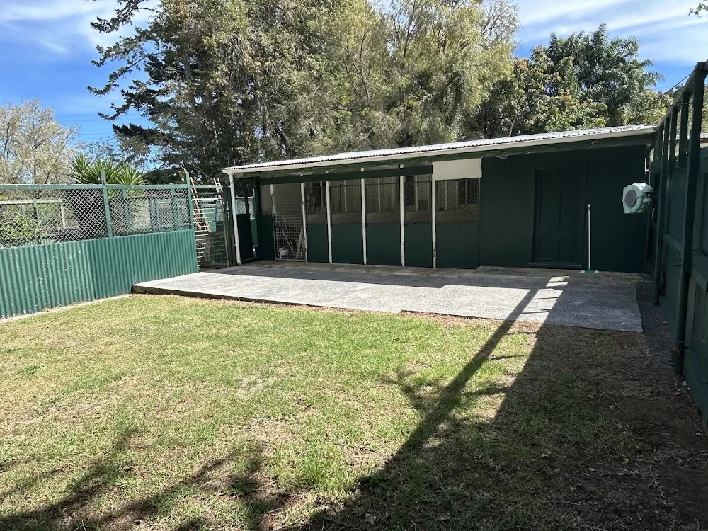 Beaver Road Pet Motel - Canterbury pet otel görseli 3
