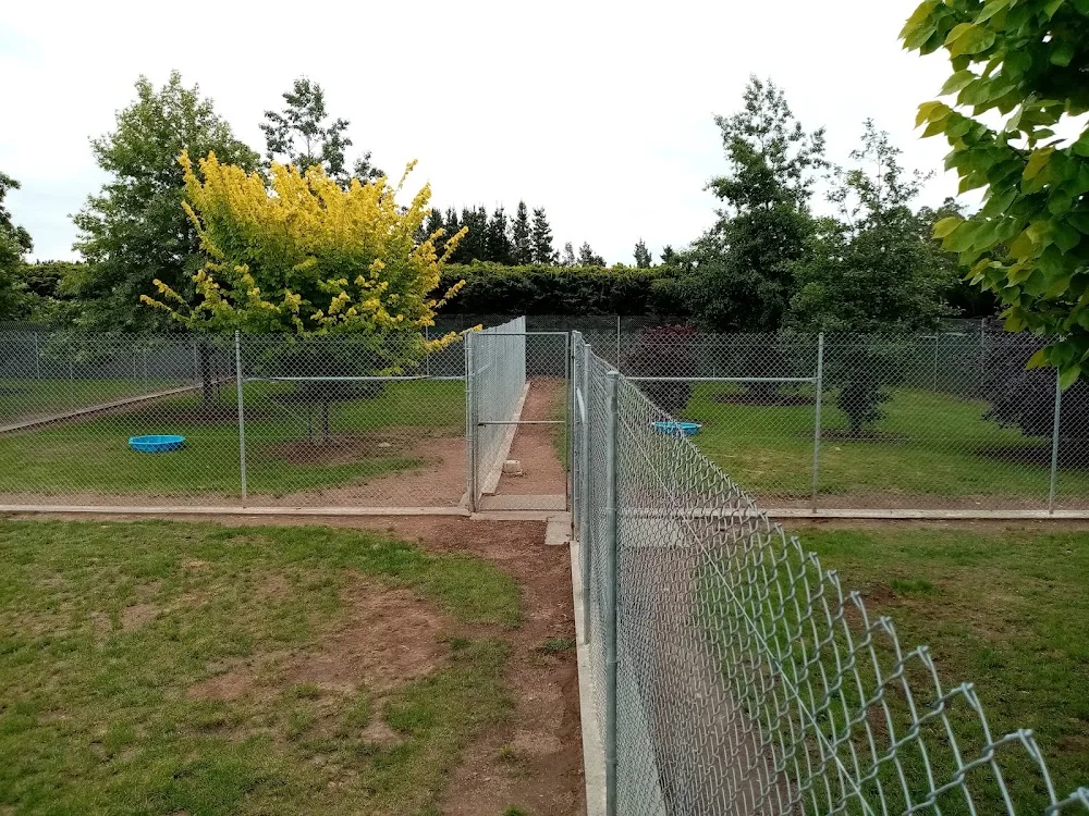 Dentrese Kennels (2008) - Canterbury pet otel