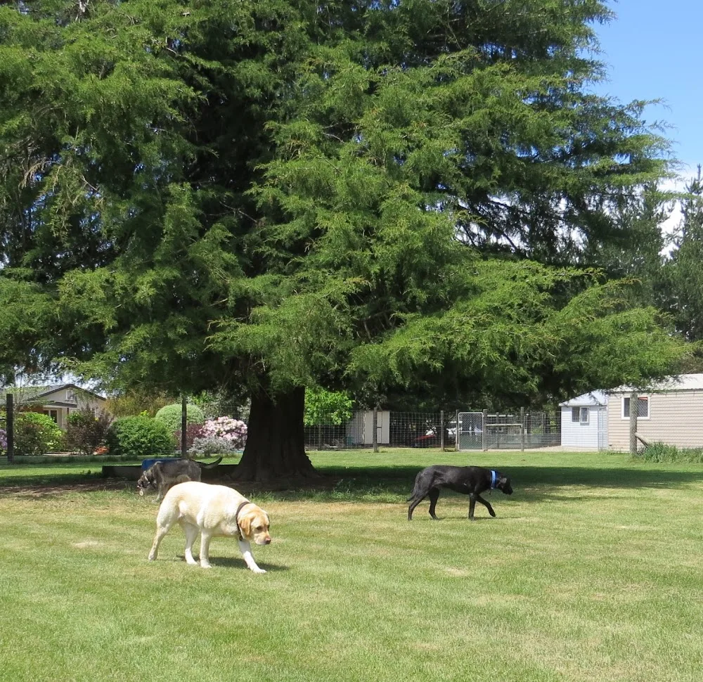 Eyrewell Park Boarding Kennels & Cattery - Canterbury pet otel görseli 2