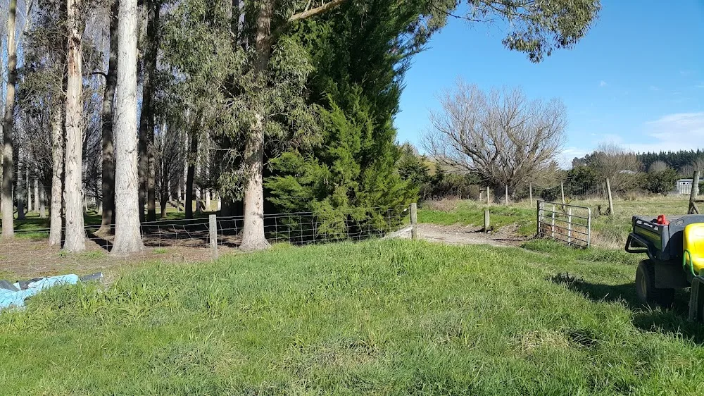 Glenstar Boarding Kennels - Canterbury pet otel