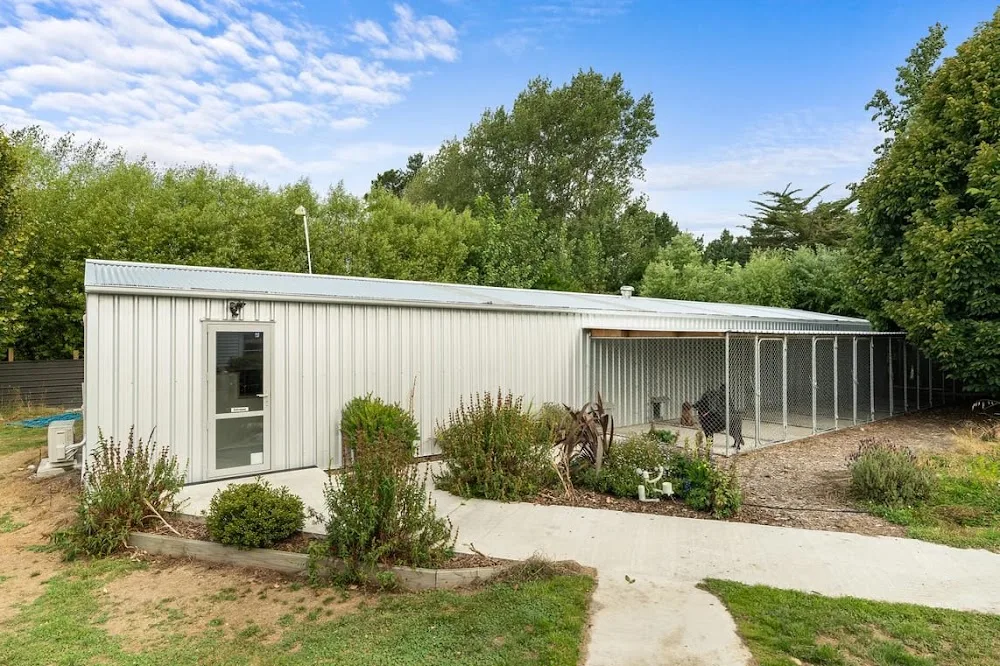 Kokos Kennels - Canterbury pet otel görseli 3