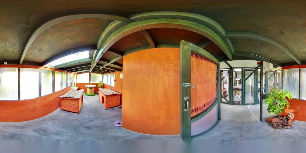 Riverside Cattery - Canterbury pet otel görseli 3