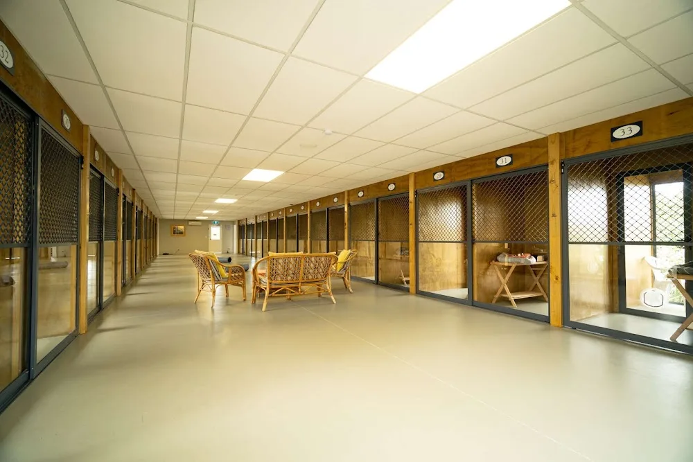 Selwyn Cattery - Canterbury pet otel