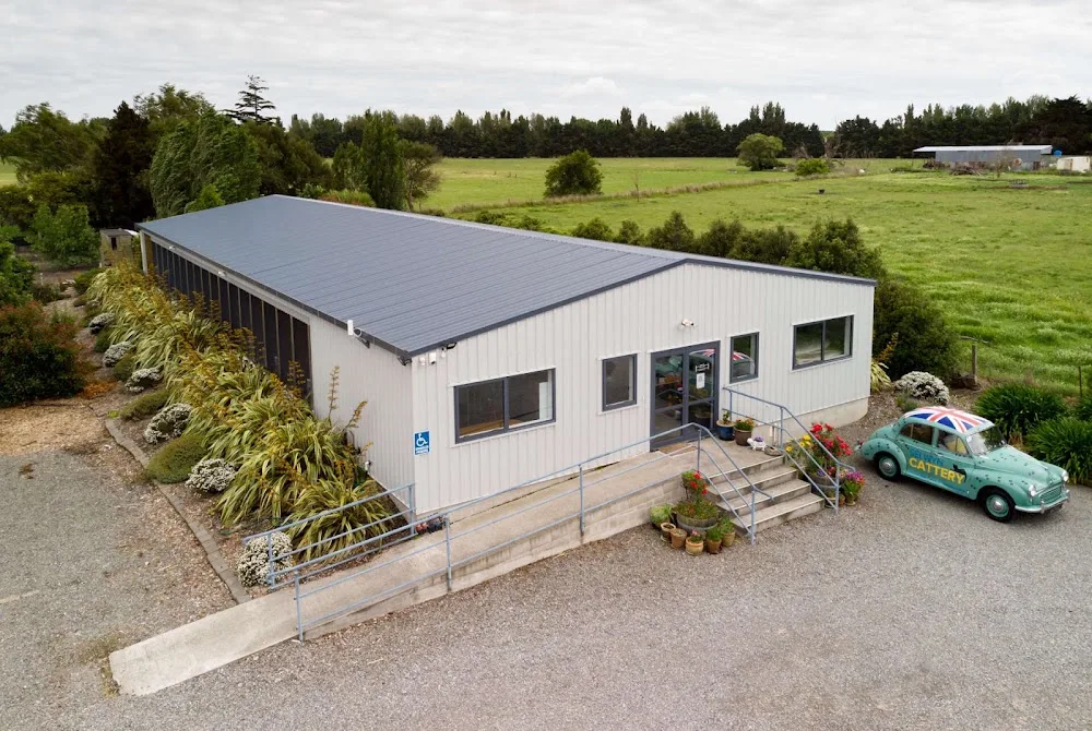 Selwyn Cattery - Canterbury pet otel görseli 3
