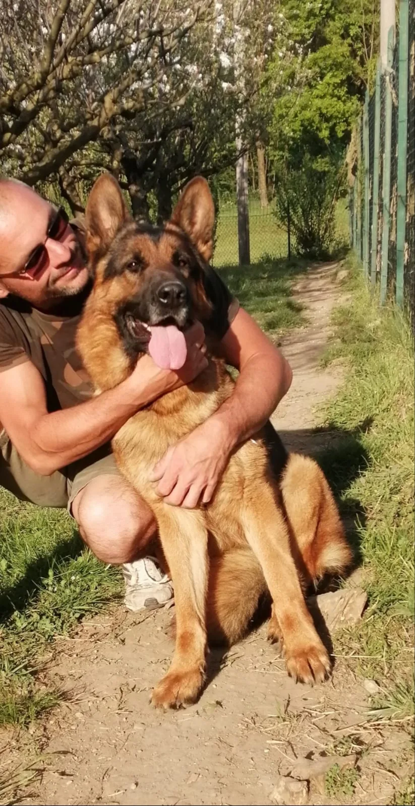 Allevamento Bosco Vivo allevamento Jack Russell, educazione e Pensione cani e gatti - Cantù pet otel