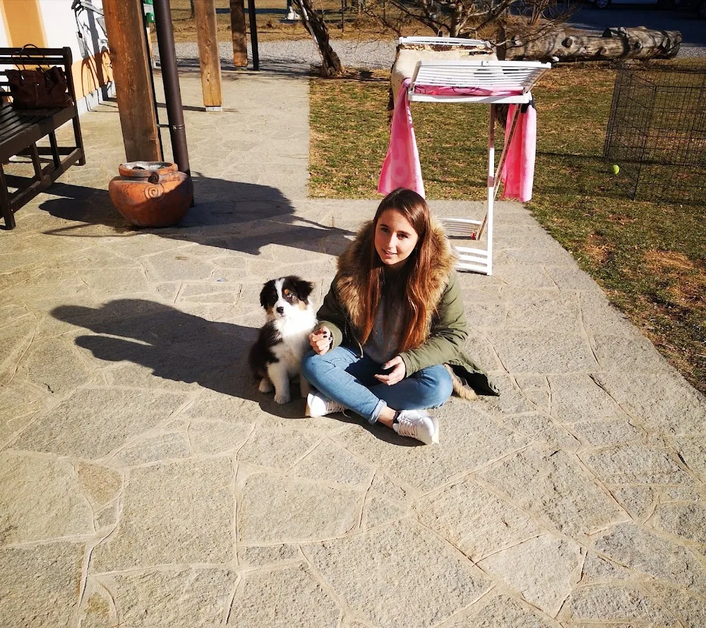 Angelina Kennel - Dogcenter - Cantù pet otel