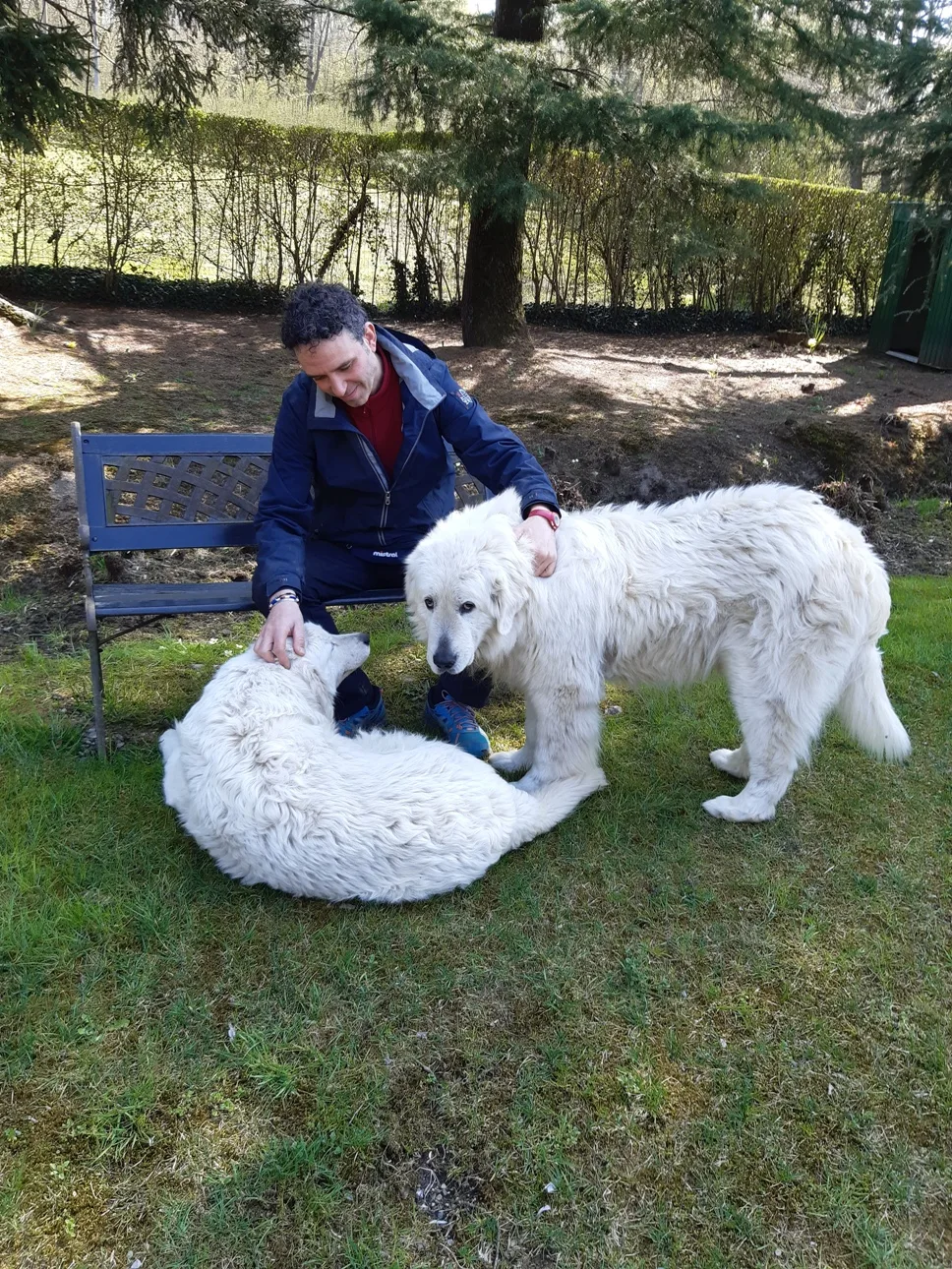 Pensione per Cani la Casetta - Cantù pet otel görseli 3