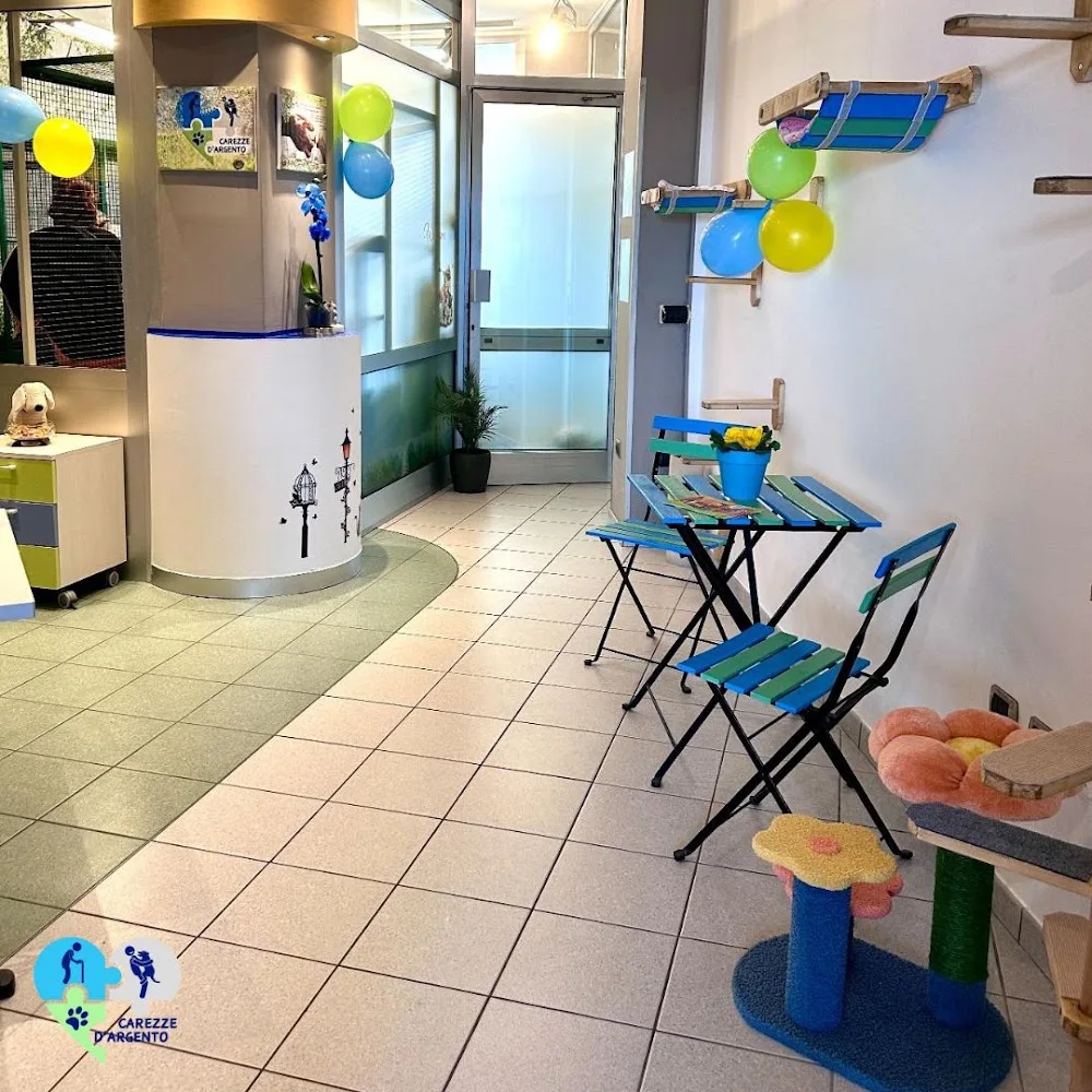 Pensione per Gatti Carezze d'Argento - Cantù pet otel