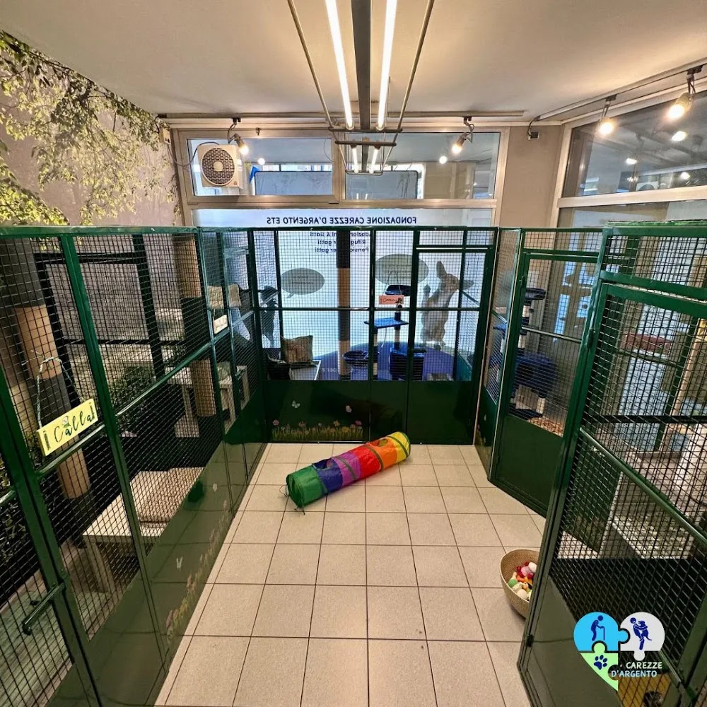 Pensione per Gatti Carezze d'Argento - Cantù pet otel görseli 3