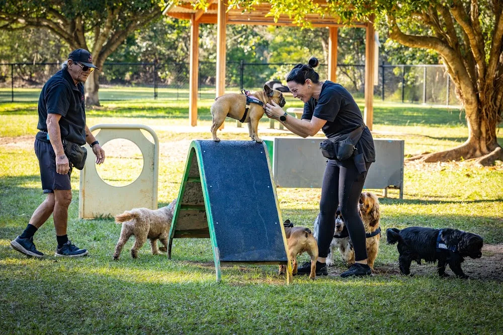 Barkss Pet Care - Capalaba pet otel görseli 3