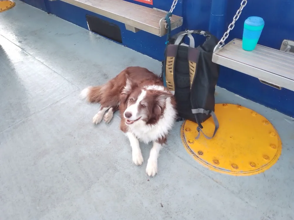 Manunga Meadows Boarding Kennels - Capalaba pet otel görseli 3
