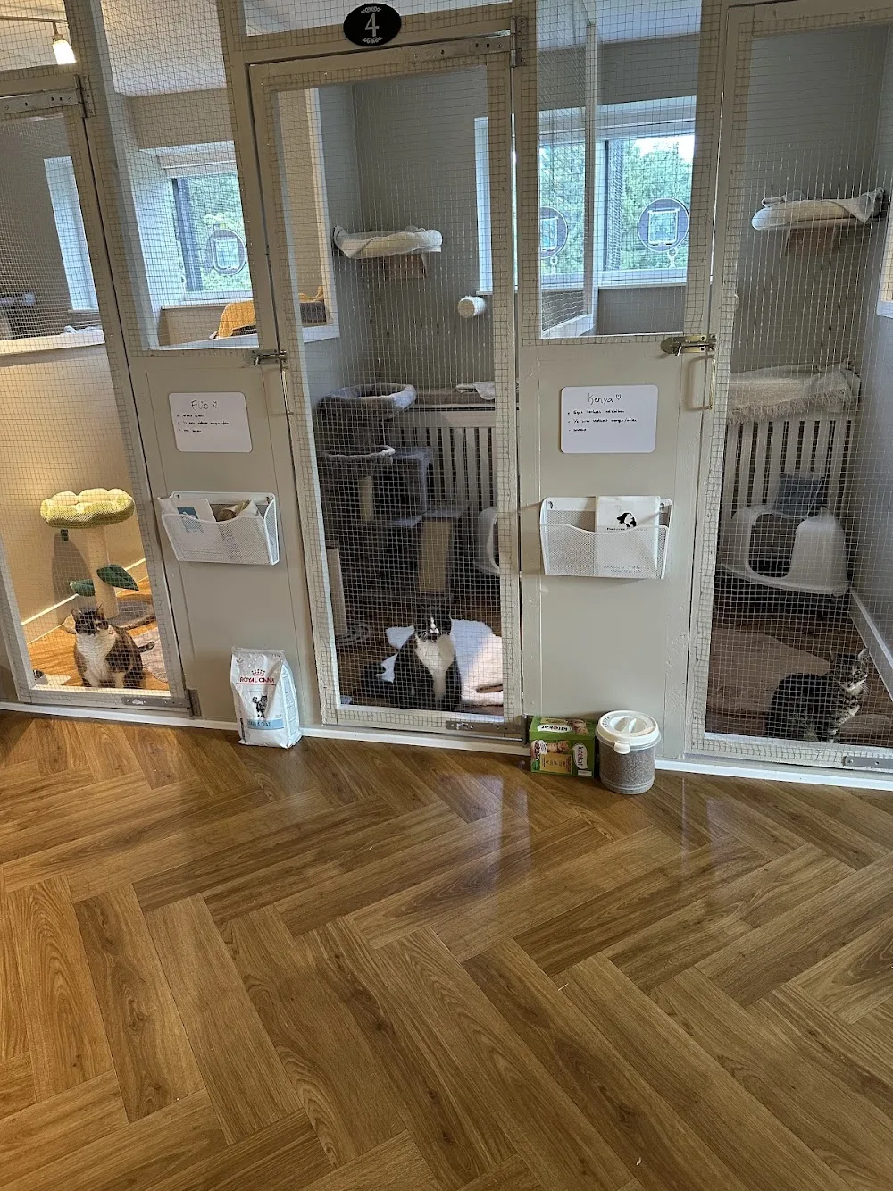 Annisse Kattepension - Capital Region of Denmark pet otel