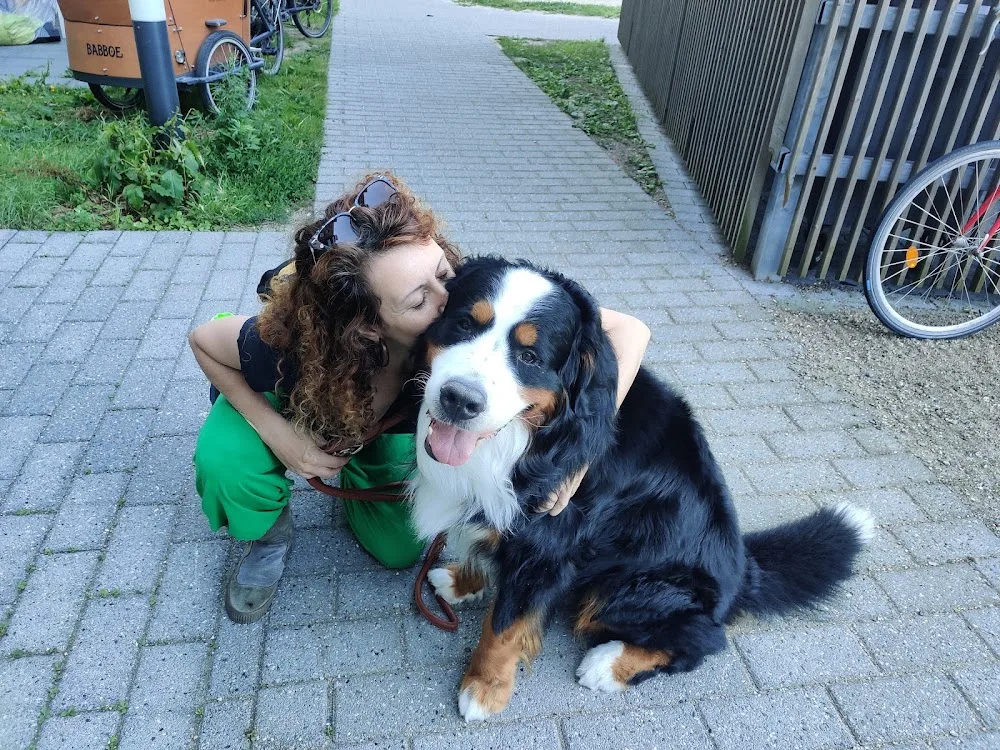 Hygge Paws - Capital Region of Denmark pet otel