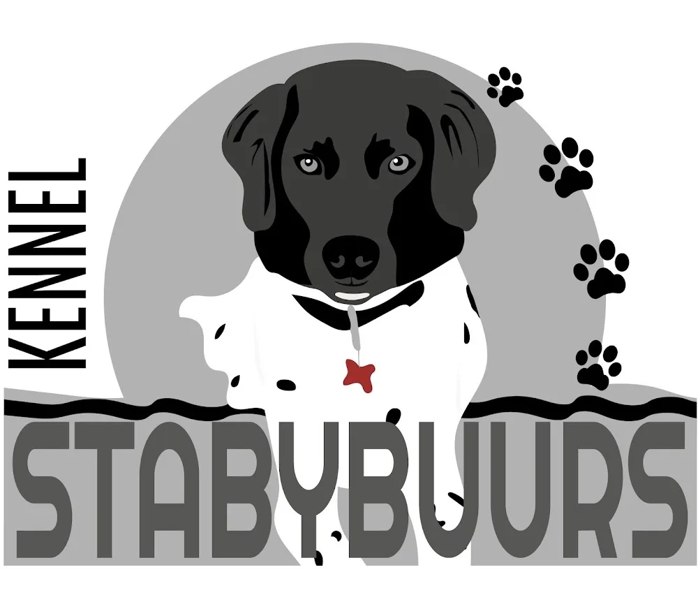 Kennel Stabybuurs - Capital Region of Denmark pet otel görseli 5
