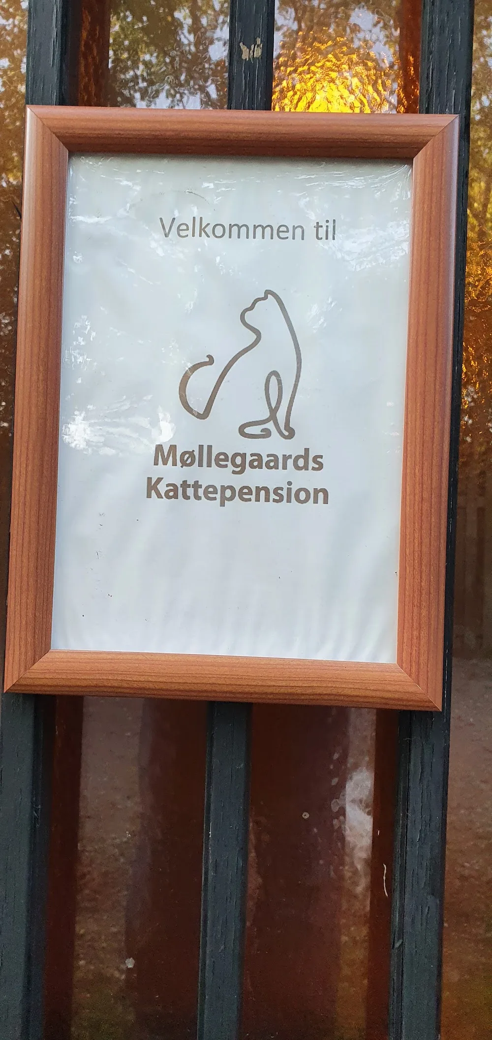 Møllegaards Kattepension - Capital Region of Denmark pet otel görseli 7