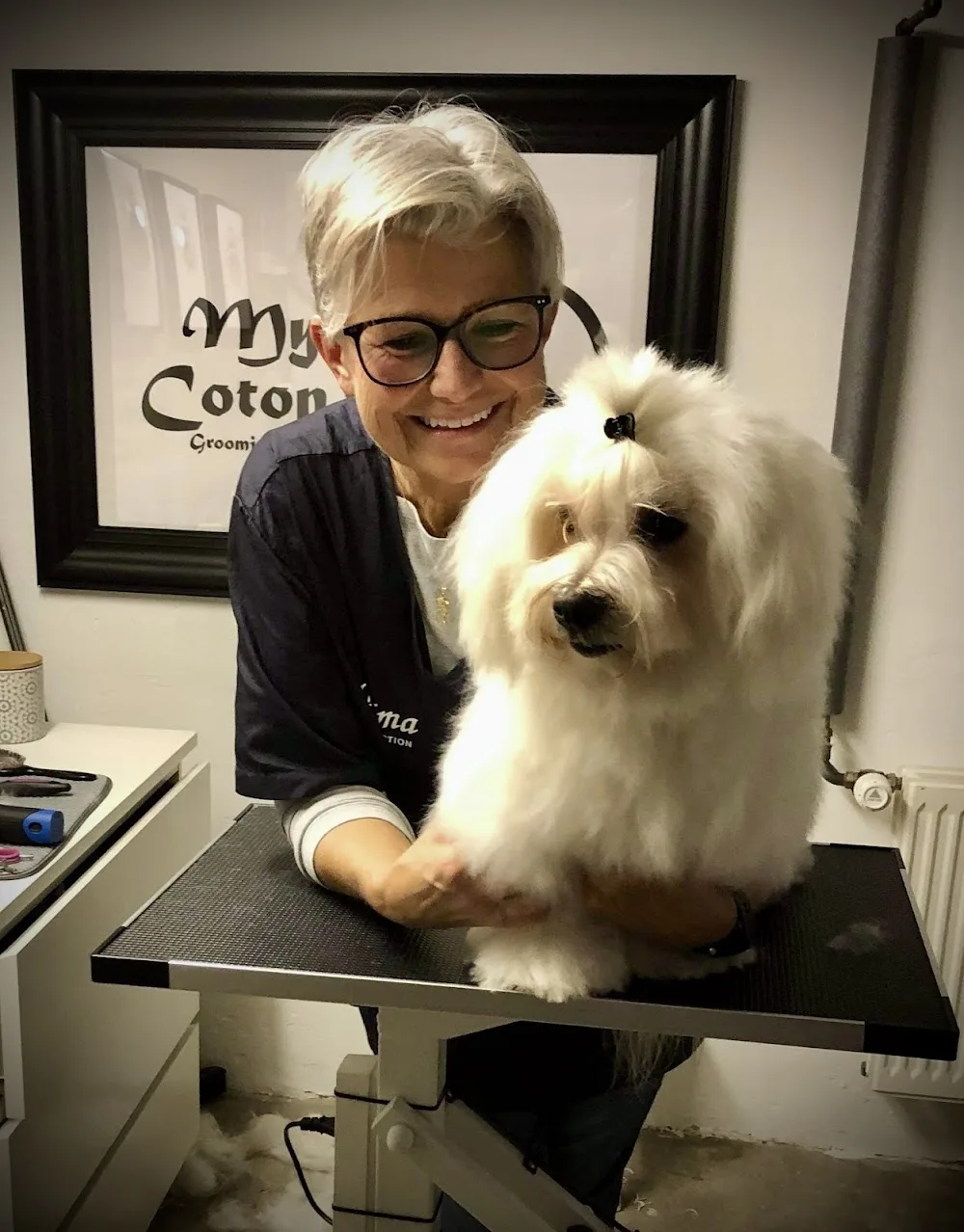 My Coton Grooming Studio - Capital Region of Denmark pet otel