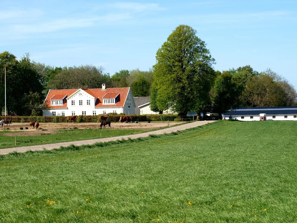 Pension Hundehuset - Capital Region of Denmark pet otel