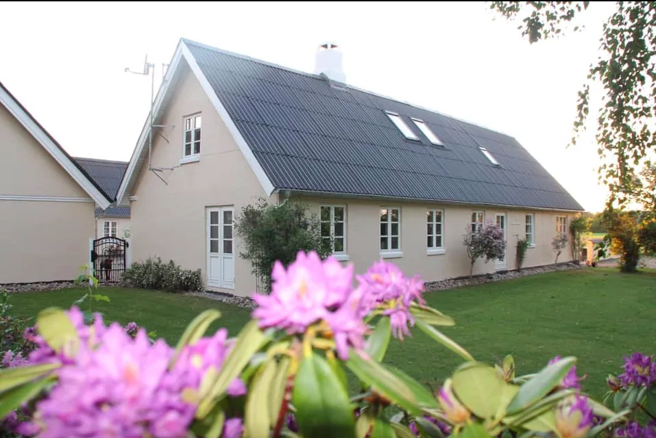 Sengeløse - hunde- & kattepension - Capital Region of Denmark pet otel görseli 6