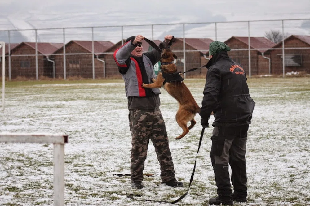 Angry Fox Kennel - Caraș-Severin pet otel görseli 3