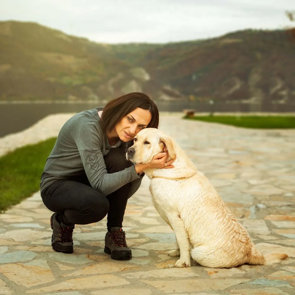 Bokalenia Kennel - Labrador Retriever breeders and kennels - Caraș-Severin pet otel