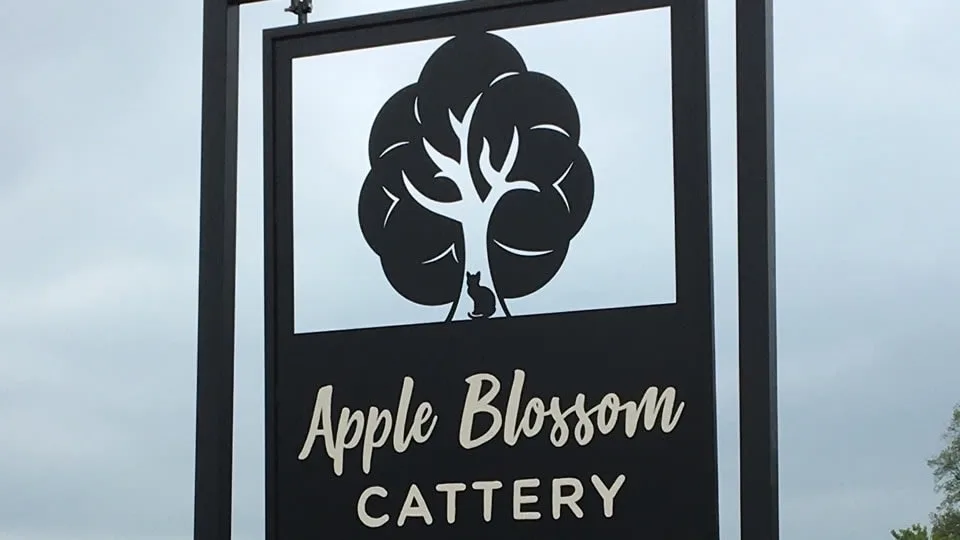 Apple Blossom Cattery - Cardiff pet otel