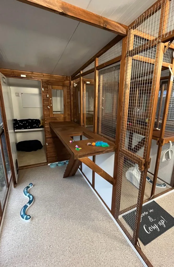 Sunnyside Cattery - Cardiff pet otel görseli 2