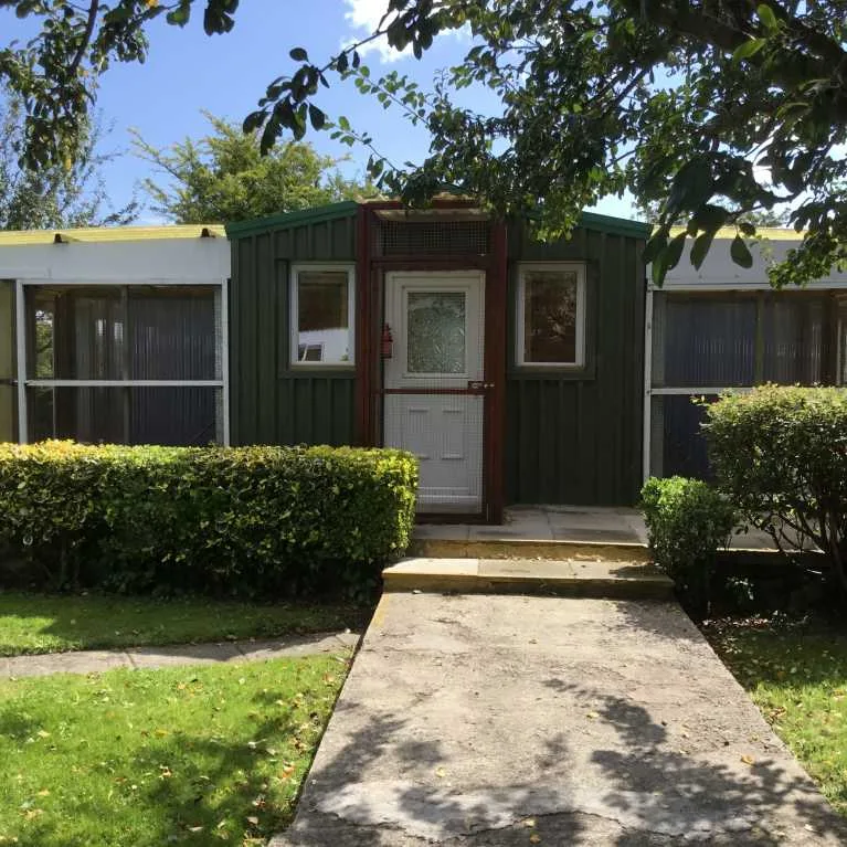 Wentloog cattery - Cardiff pet otel görseli 3