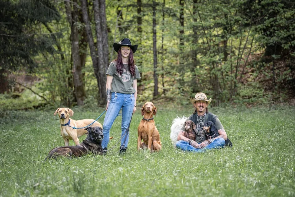 Die Dogranch - Problemhundetraining in Kärnten - Carinthia pet otel görseli 2