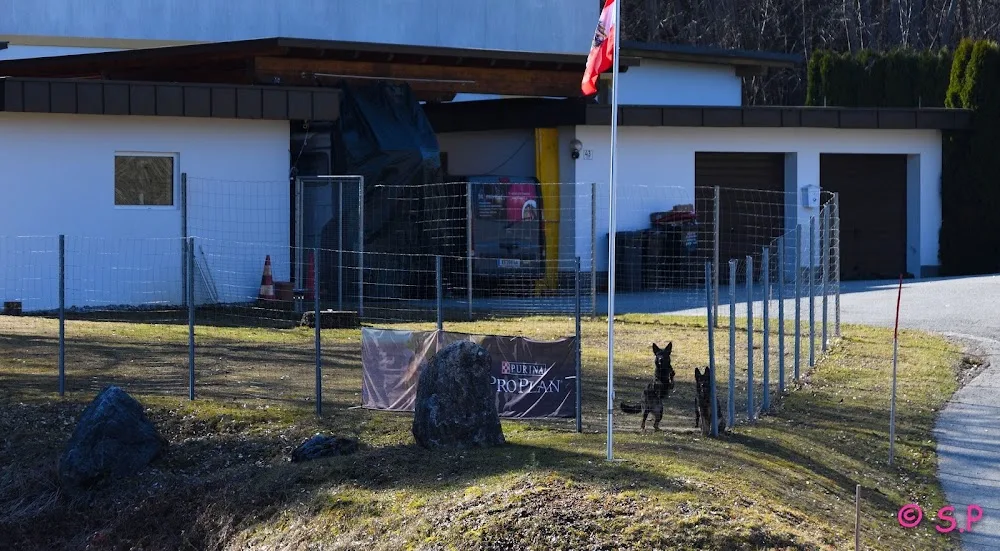 Fit4move (Hundewellnes & Hundepension) - Carinthia pet otel görseli 3