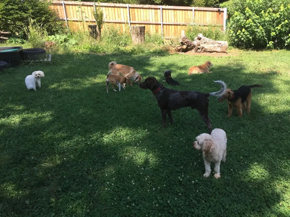 Hundehof Wauberg - Carinthia pet otel görseli 3