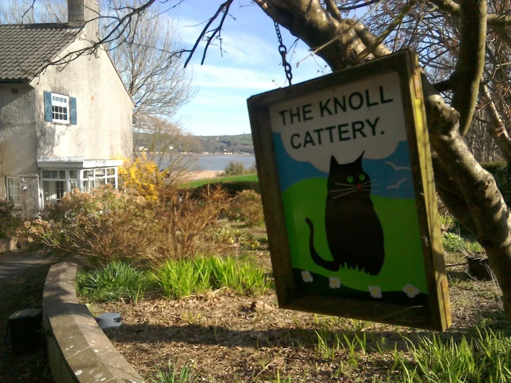 Knoll Cattery - Carmarthenshire pet otel