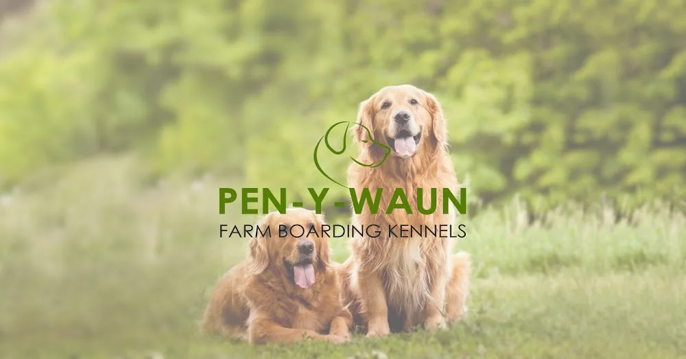 Pen Y Waun Farm Boarding Kennels - Carmarthenshire pet otel görseli 2
