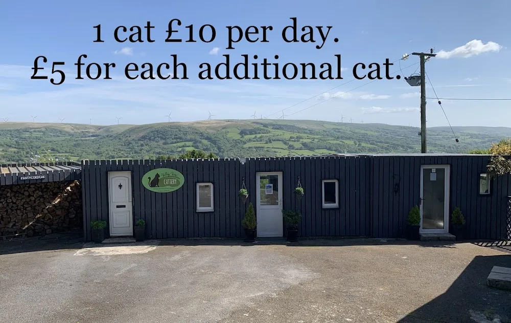 Valley View Cattery and Home Boarding for Dogs - Carmarthenshire pet otel görseli 2