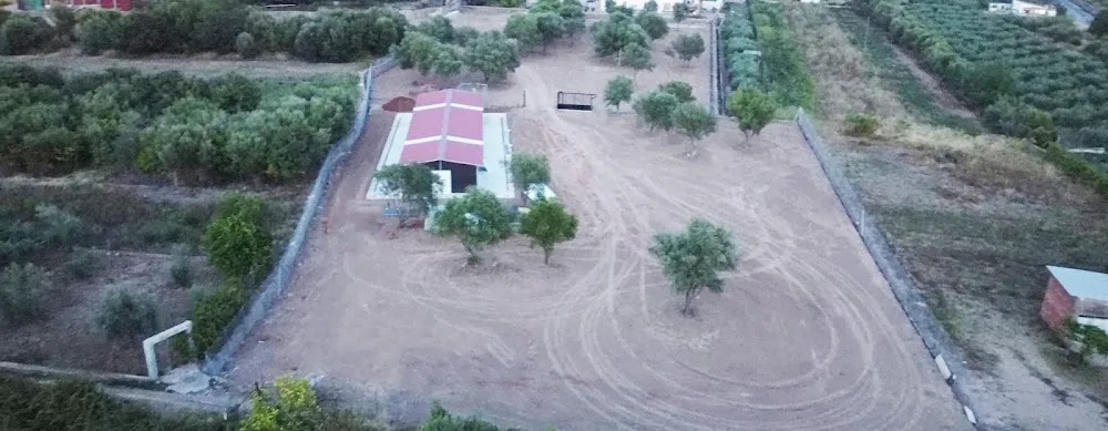 GUAU Adiestramiento - Castellón pet otel