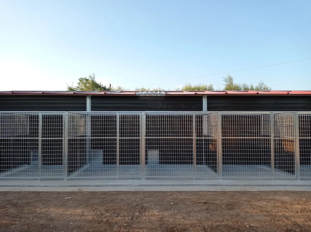 GUAU Adiestramiento - Castellón pet otel görseli 3