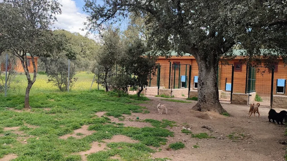 Campamento Peludosos - Castile and Leon pet otel görseli 2