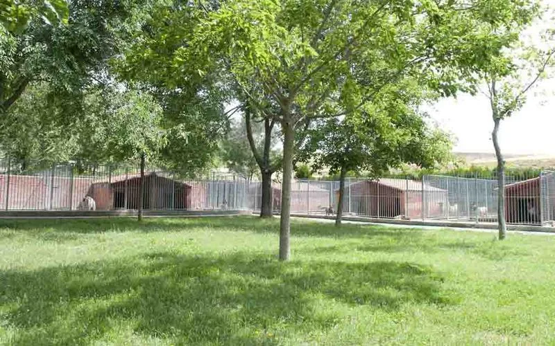 Centro Canino la Yosa - Castile and Leon pet otel