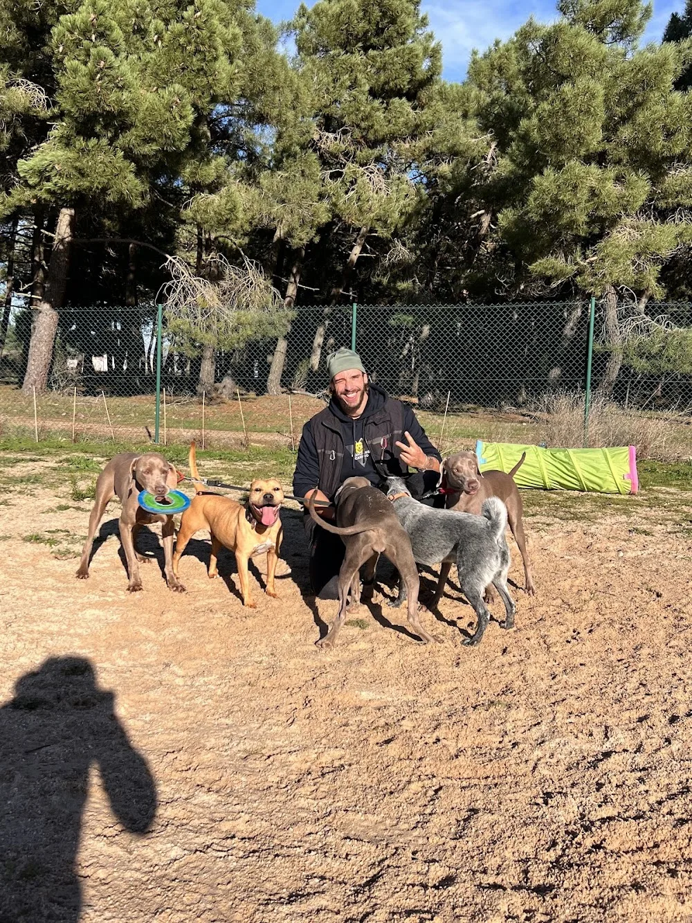 Centro Canino Las Cortes - Castile and Leon pet otel görseli 3